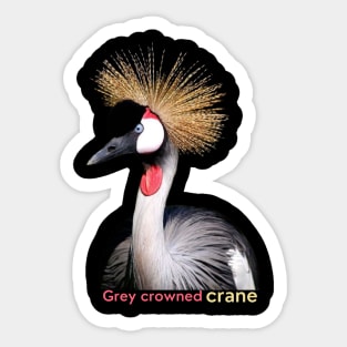 La Grue royale Sticker